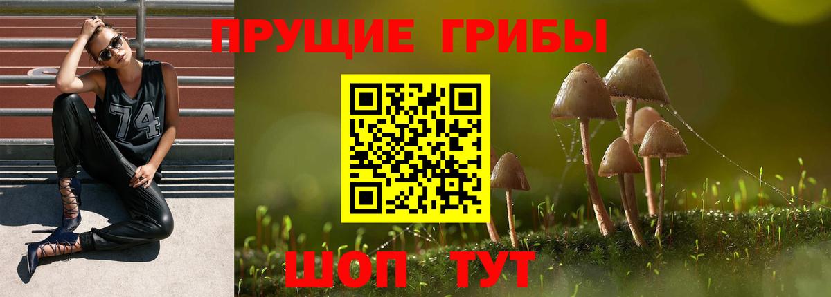 Псилоцибиновые грибы мицелий  Вход с VPN  магазин  наркотиков  Кушва 